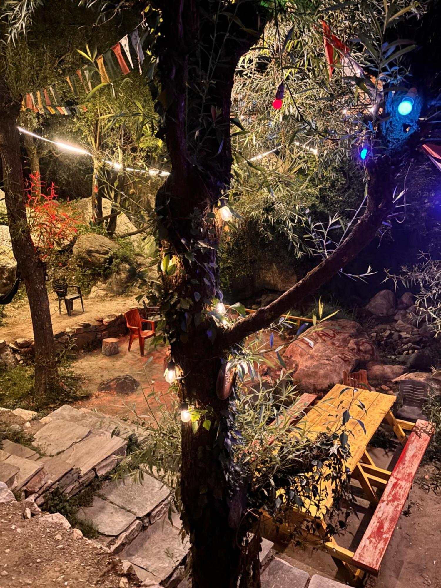 The Cozy Cabin, Jibhi Banjar Ngoại thất bức ảnh